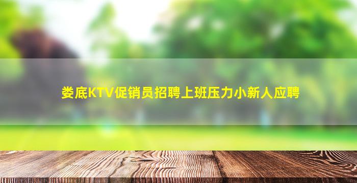 娄底KTV促销员招聘上班压力小新人应聘